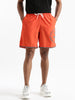 Vibrant Active Shorts