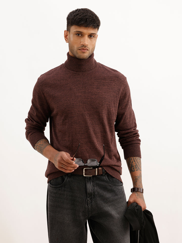 Solid Regular Fit Turtle Neck Sweater | Brown