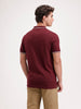 Solid Slim Fit Tipping collar Polo T-Shirt  | Wine