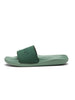Sliders I Cool Sage