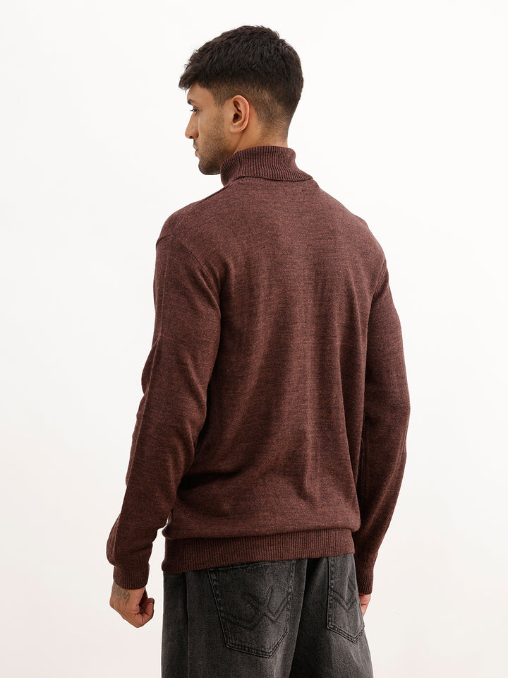 Solid Regular Fit Turtle Neck Sweater | Brown