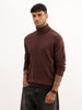 Solid Regular Fit Turtle Neck Sweater | Brown