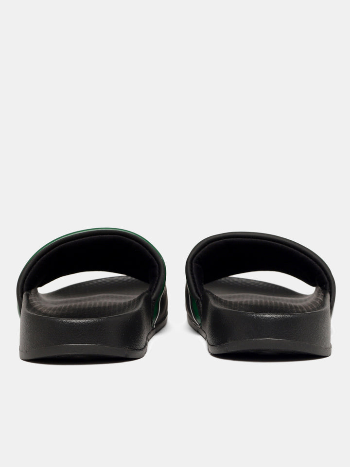 Sliders   |  Midnight Forest