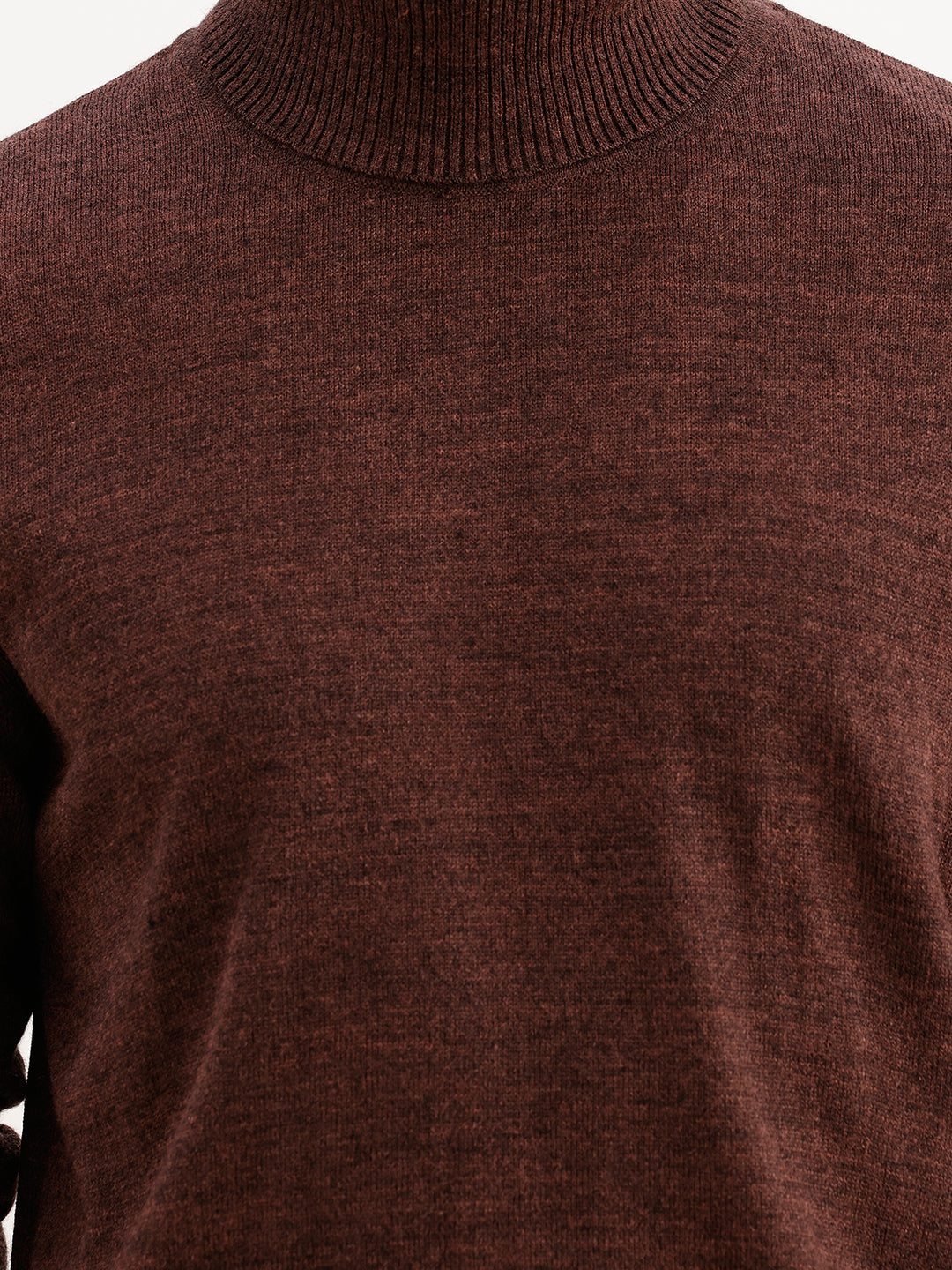 Solid Regular Fit Turtle Neck Sweater | Brown