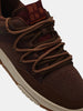 Sneakers | Greyhound Bark